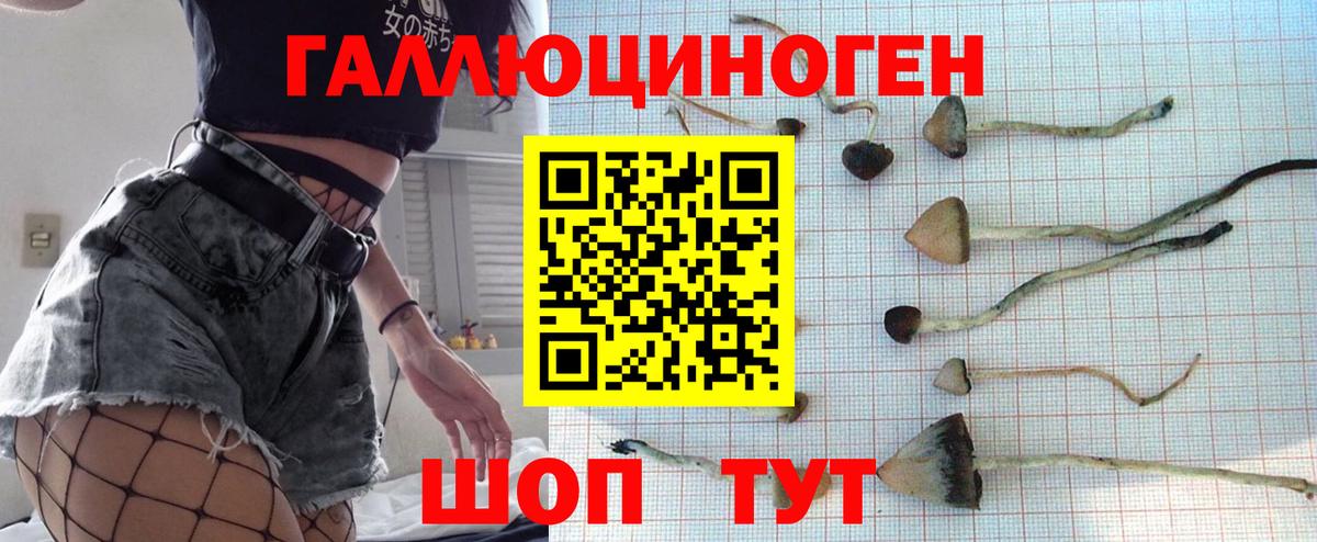 Галлюциногенные грибы Magic Shrooms Междуреченск